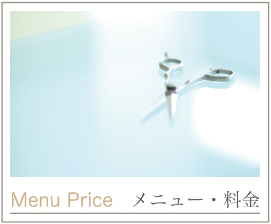 メニュー・料金 メニュー・料金